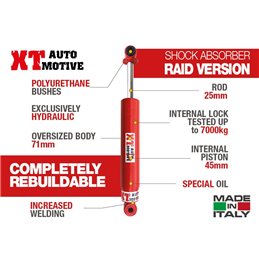 Nissan Patrol GR Y60  XTAutomotive RAID rear